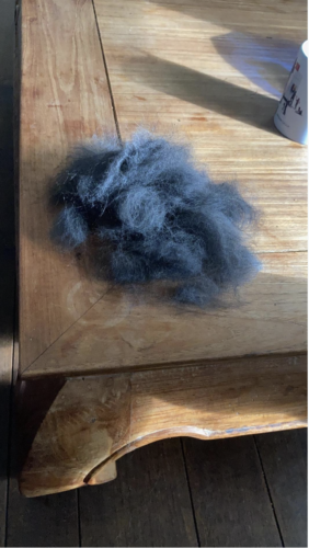 Furminator XL Brosse 🐶 Poils Courts Chien grande taille plus de 41kg photo review